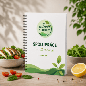 spolupráce na 2 měsíce
